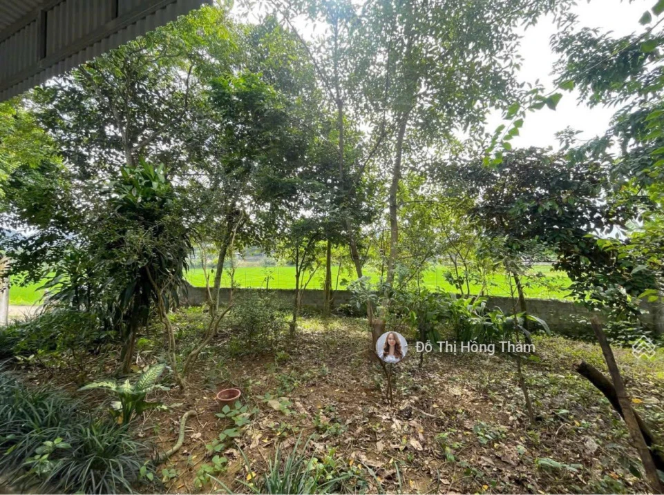 Cần bán 933m2 full thổ cư sẵn nhà cấp 4, bám đường to tại xã Cao Dương, giá rẻ chỉ 4 triệu/m2 - Ảnh thu nhỏ 2