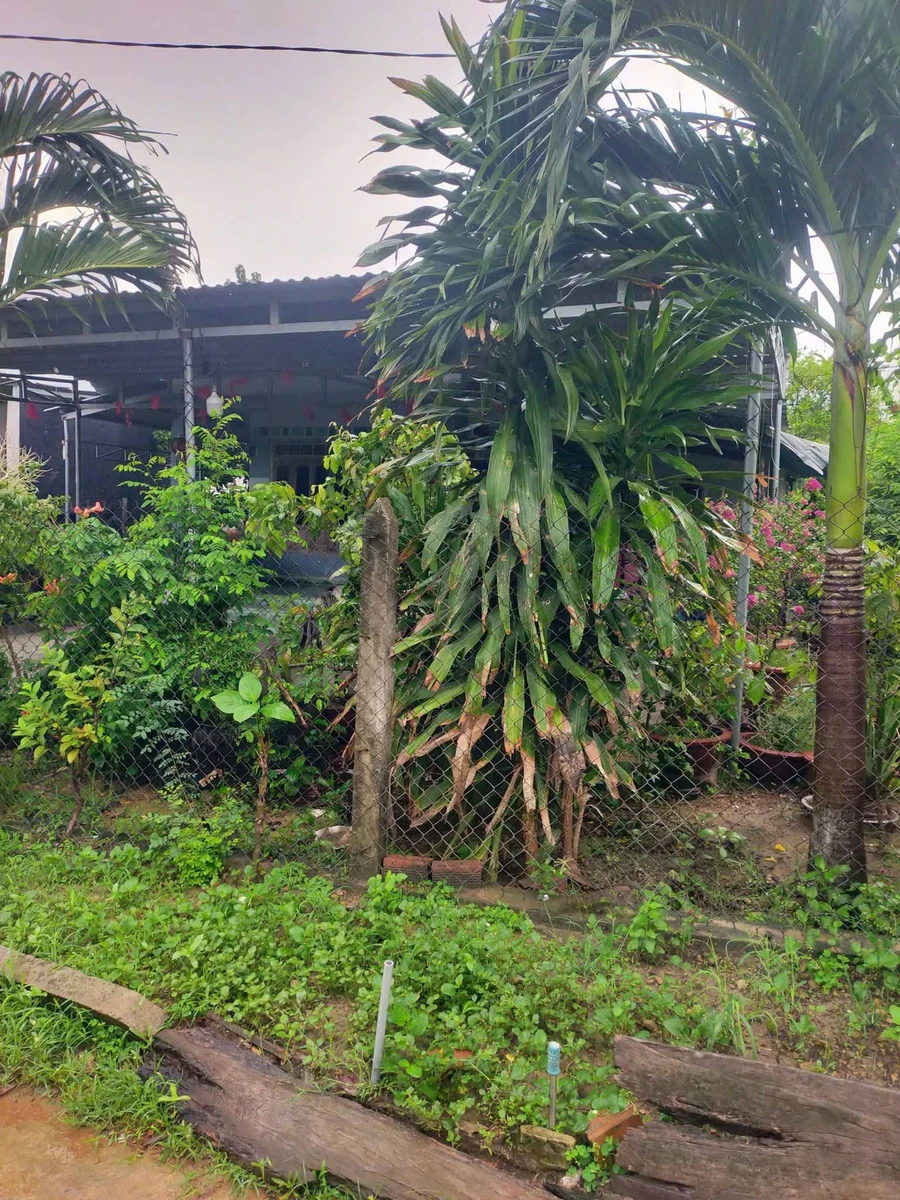 Bán nhà Ninh Sơn Bắc Ninh 550m2 - Ảnh thu nhỏ 3