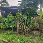 Bán nhà Ninh Sơn Bắc Ninh 550m2 - Ảnh thu nhỏ 3