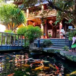 Chuyển nhượng nhà mặt phố Suối Hội Phú Pleiku: 1250m2, sẵn hạ tầng cao cấp, sổ hồng chính chủ - Ảnh thu nhỏ 3