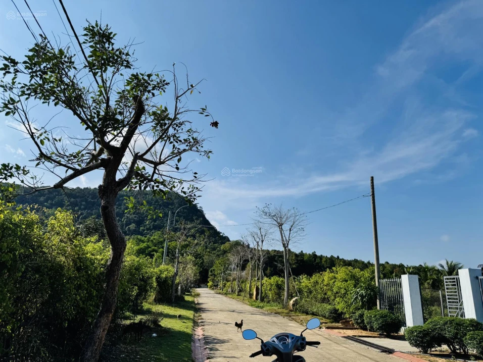 Bán đất 100% thổ cư Búng Gội, 494m2 giá 4.3tỷ, ngang 16.5m view núi đẹp, về sân bay Phú Quốc 20phut - Ảnh thu nhỏ 5