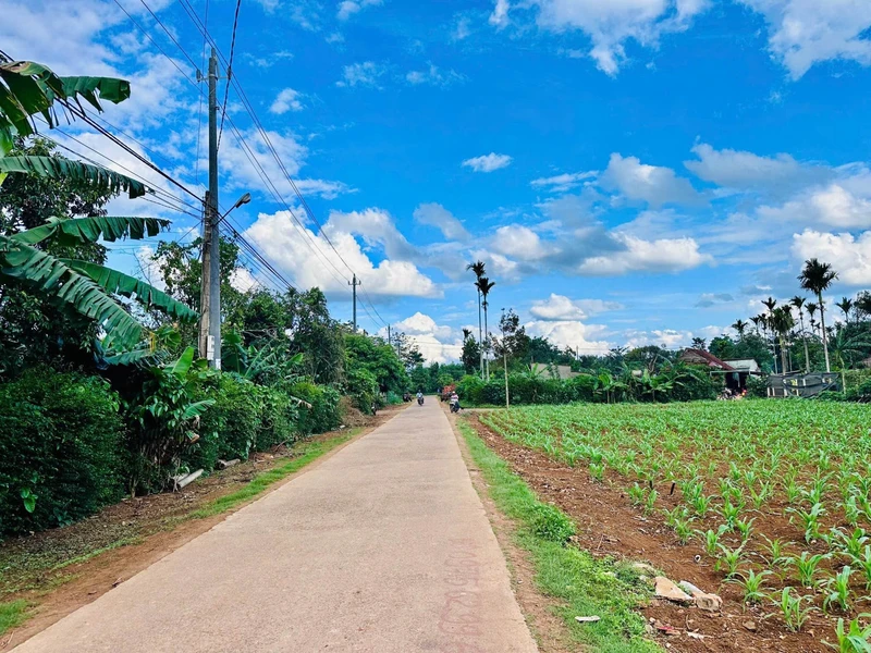 Bán đất nền 200m² gần chợ Cuordang, Bình Dương, 900 triệu
