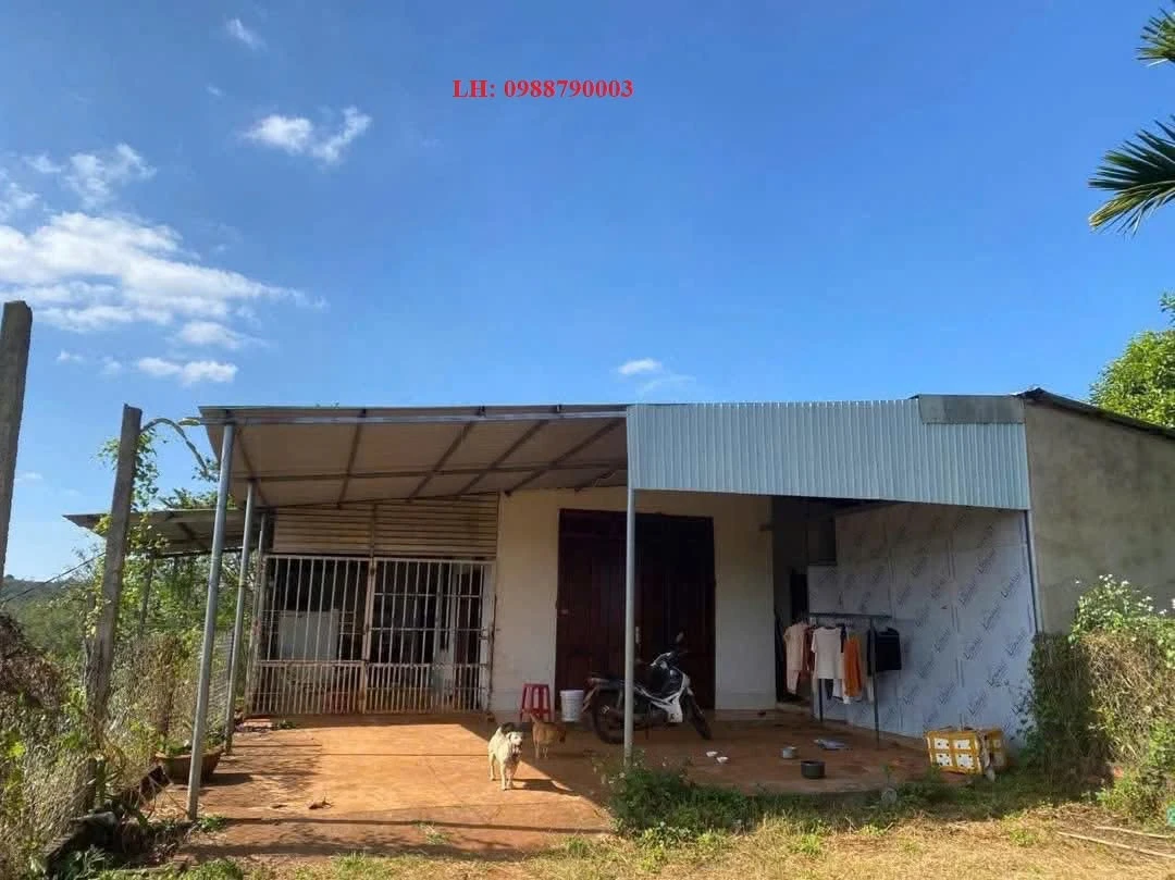 Bán 1,5 ha nhà vườn sầu riêng xen cà phê tại buôn K'rô, Krông Búk giá 6,5 tỷ - Ảnh thu nhỏ 3