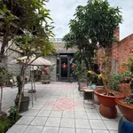 Bán nhà mặt tiền Quốc lộ 13 300m2 ở kinh doanh 6 tỷ - Ảnh thu nhỏ 4