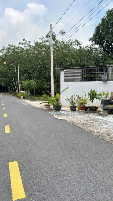 Bán đất Chánh Phú Hòa 175m² 1,2 tỷ