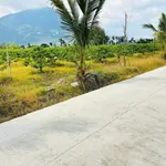 Bán đất Tây Ninh xã Phan Dương 52m², 195 triệu - Ảnh thu nhỏ 1