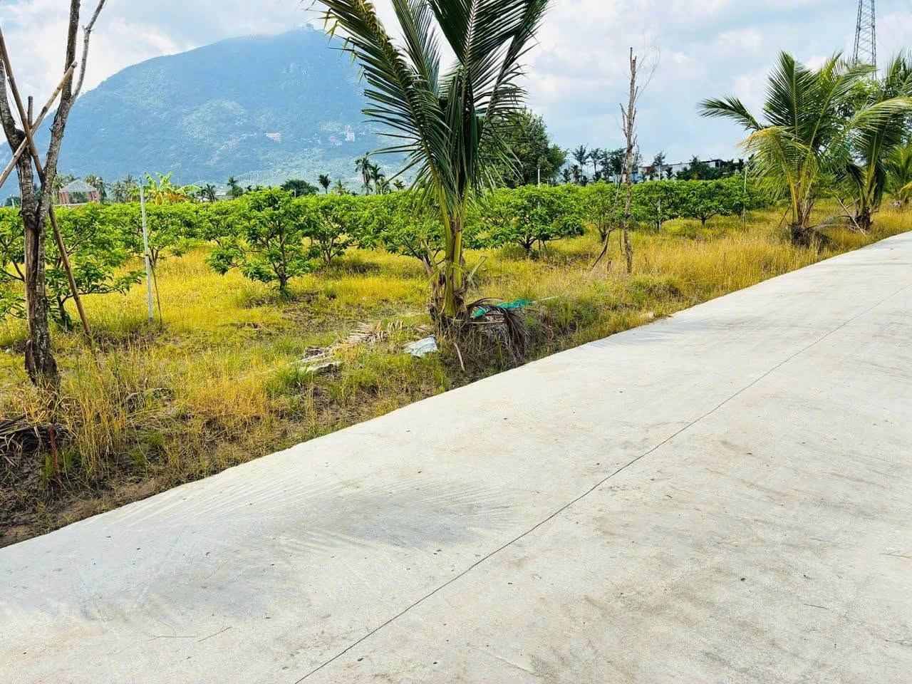 Bán đất Tây Ninh xã Phan Dương 52m², 195 triệu - Ảnh 1