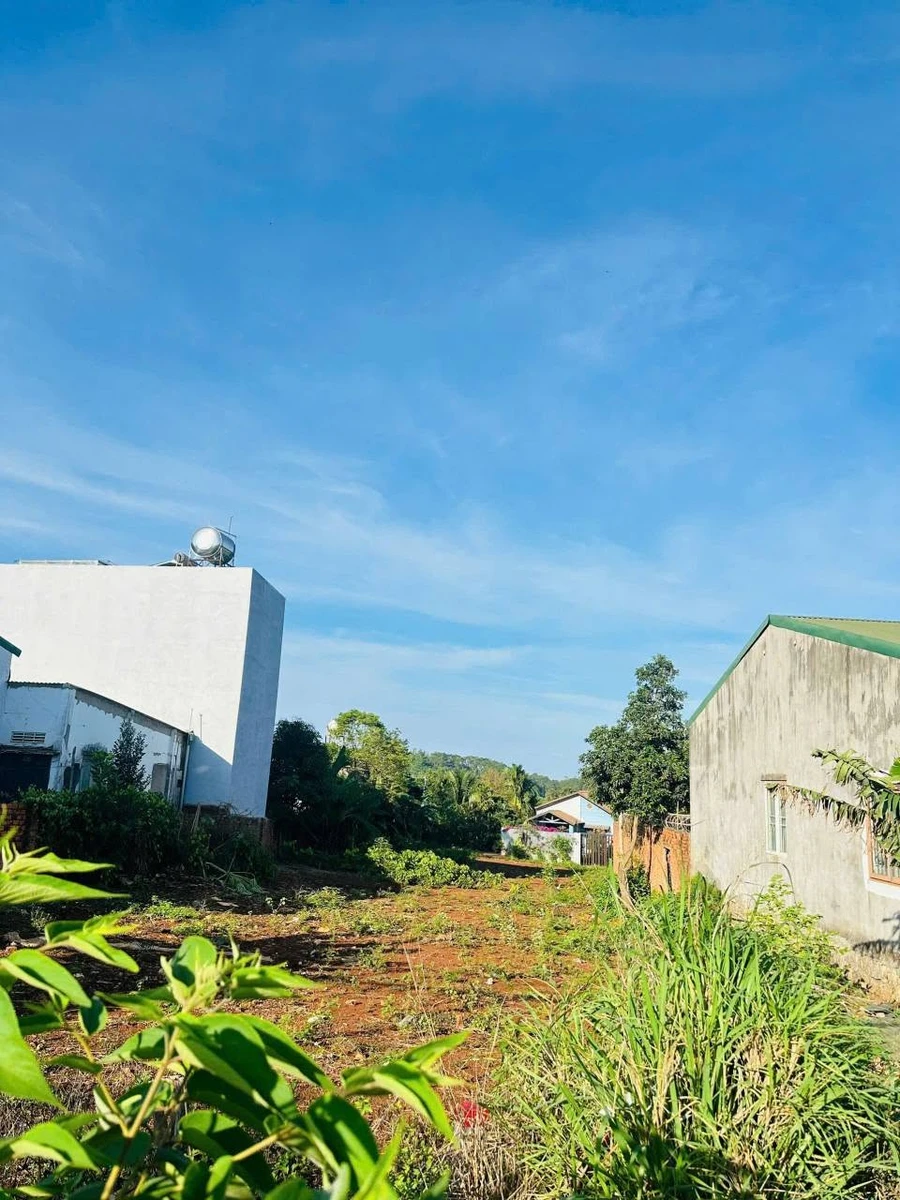Bán đất 2 mặt tiền đường 19/5, 1000m2, Bình Chánh, 14 tỷ - Ảnh thu nhỏ 5