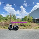 Hàng ngộp trục chính biệt thự Tây Đô Ecopark đường Số 19 - Giá tốt - Ảnh thu nhỏ 9