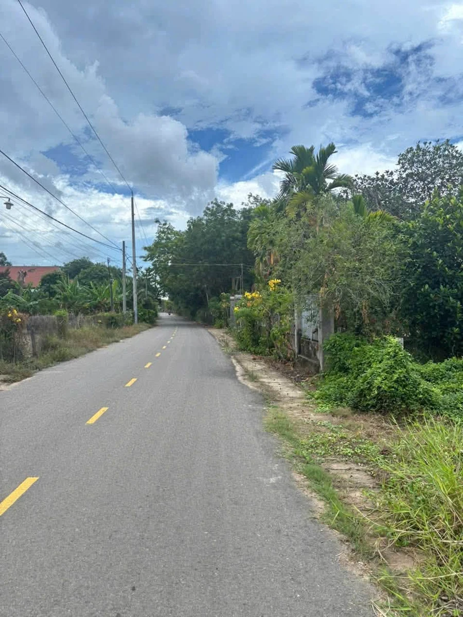 Bán đất Xuyên Mộc gần Hồ Tràm 2700m², 6 tỷ 500 triệu - Ảnh thu nhỏ 2