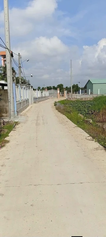 Bán đất 1000m² xã Tân Trạch Cần Đước Long An 2,8 tỷ
