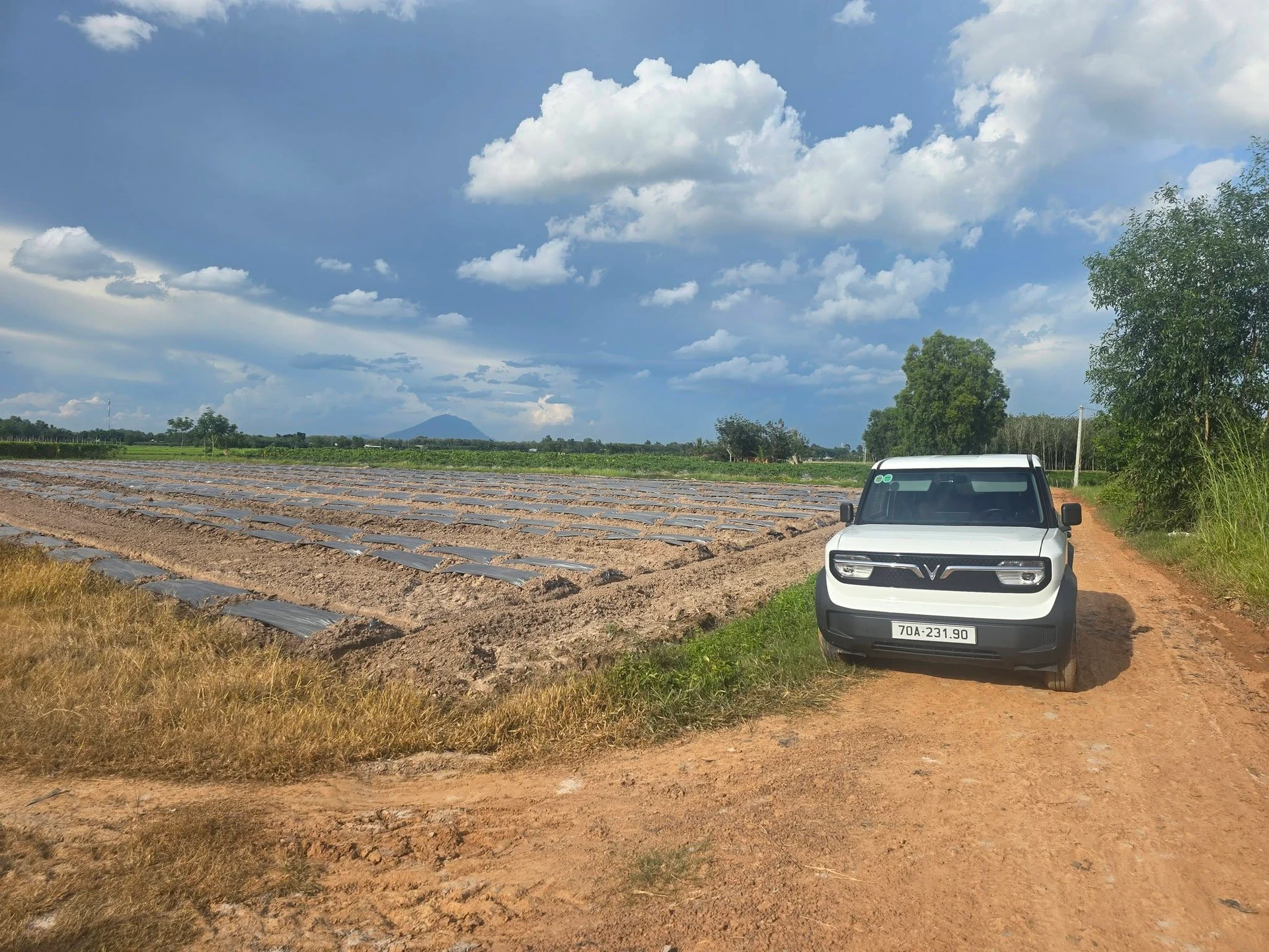 Bán đất 9.000m2 ở Ninh Điền giá 1 tỷ 2 - Ảnh 1