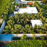Bán nhà vườn 1000 m² Phường Biên Hòa - Ảnh thu nhỏ 1
