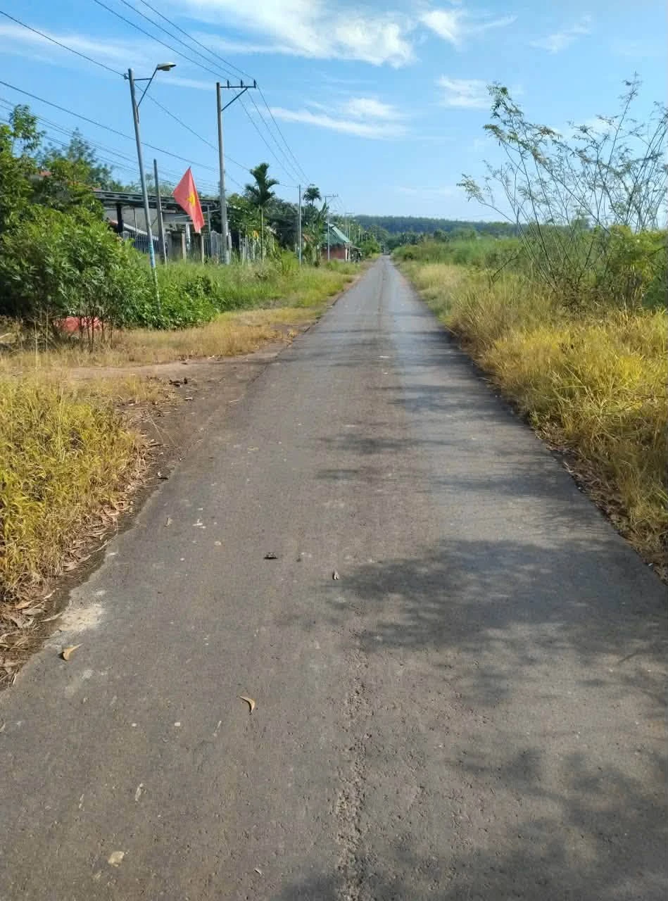 Bán nhà 1PN mặt tiền 500m² Tân Phước Tân Phú 599 triệu - Ảnh 1