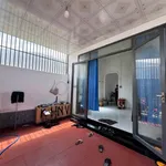 Bán đất hẻm Quang Trung 103 m² Xã Krông Pắc - Ảnh thu nhỏ 4