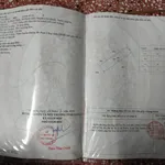 Bán đất 231m2 Long An 2 tỷ 2 - Ảnh thu nhỏ 1