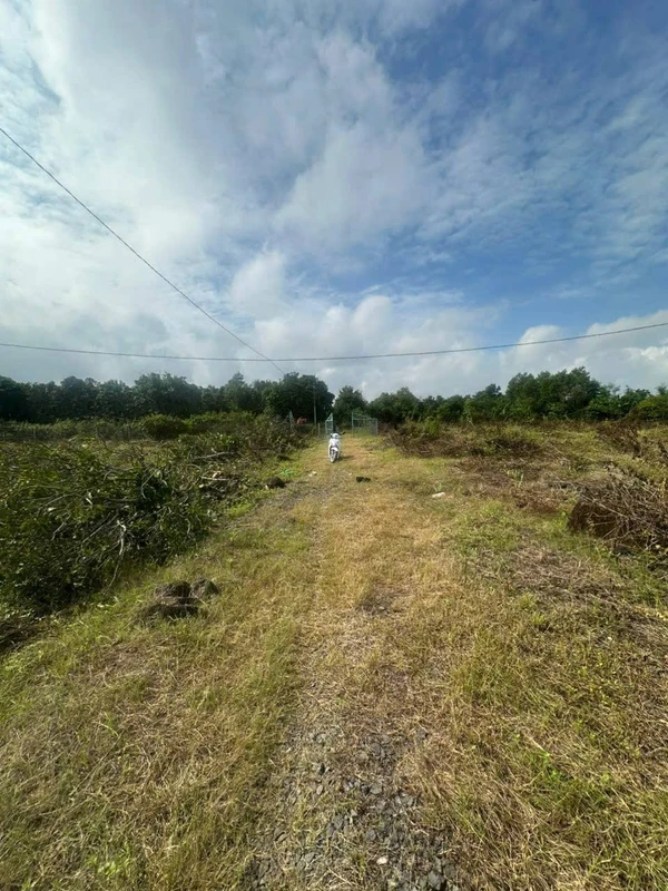 Bán đất 22.225m2 Ấp 1, Thanh Sơn, Định Quán, Đồng Nai giá 1,8 tỷ