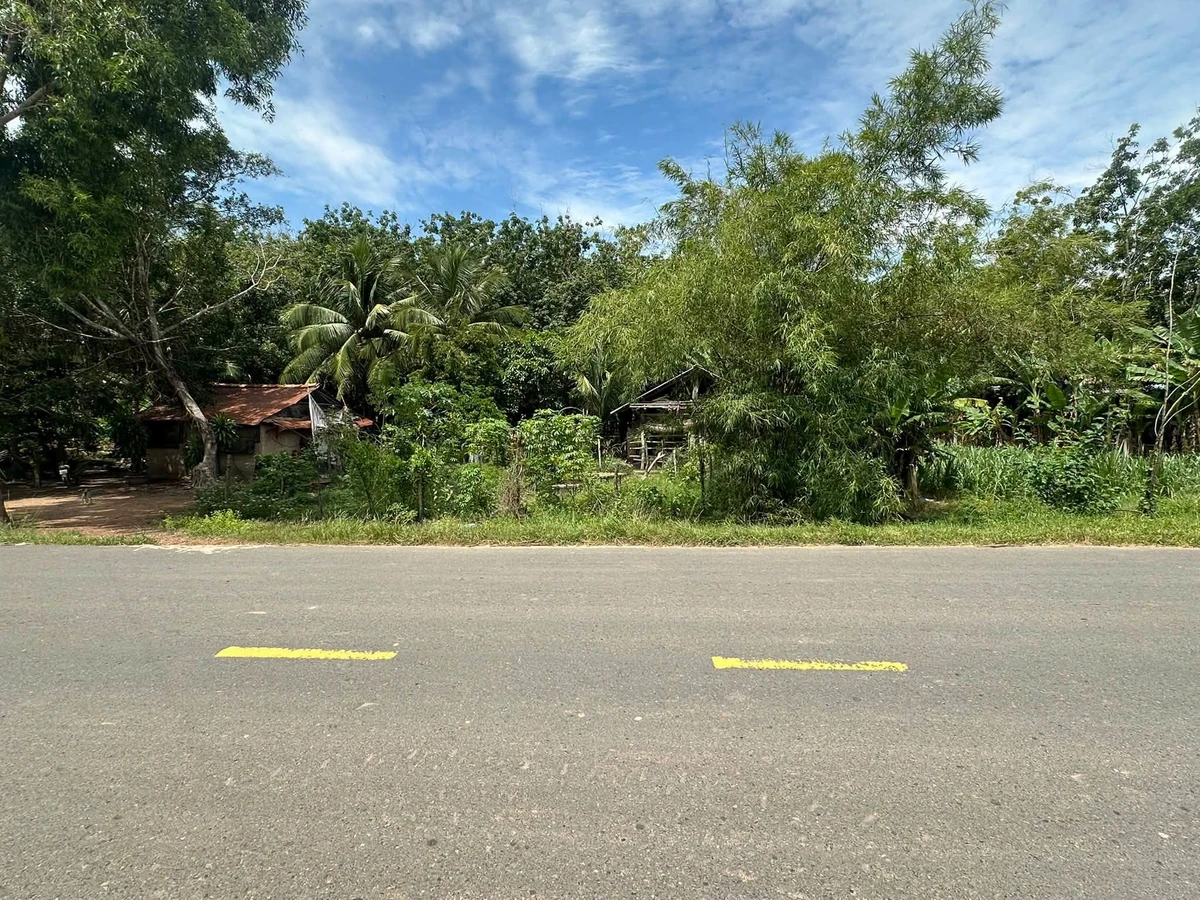 Bán 2.918m² đất mặt tiền DT788, Tây Ninh - Ảnh thu nhỏ 4