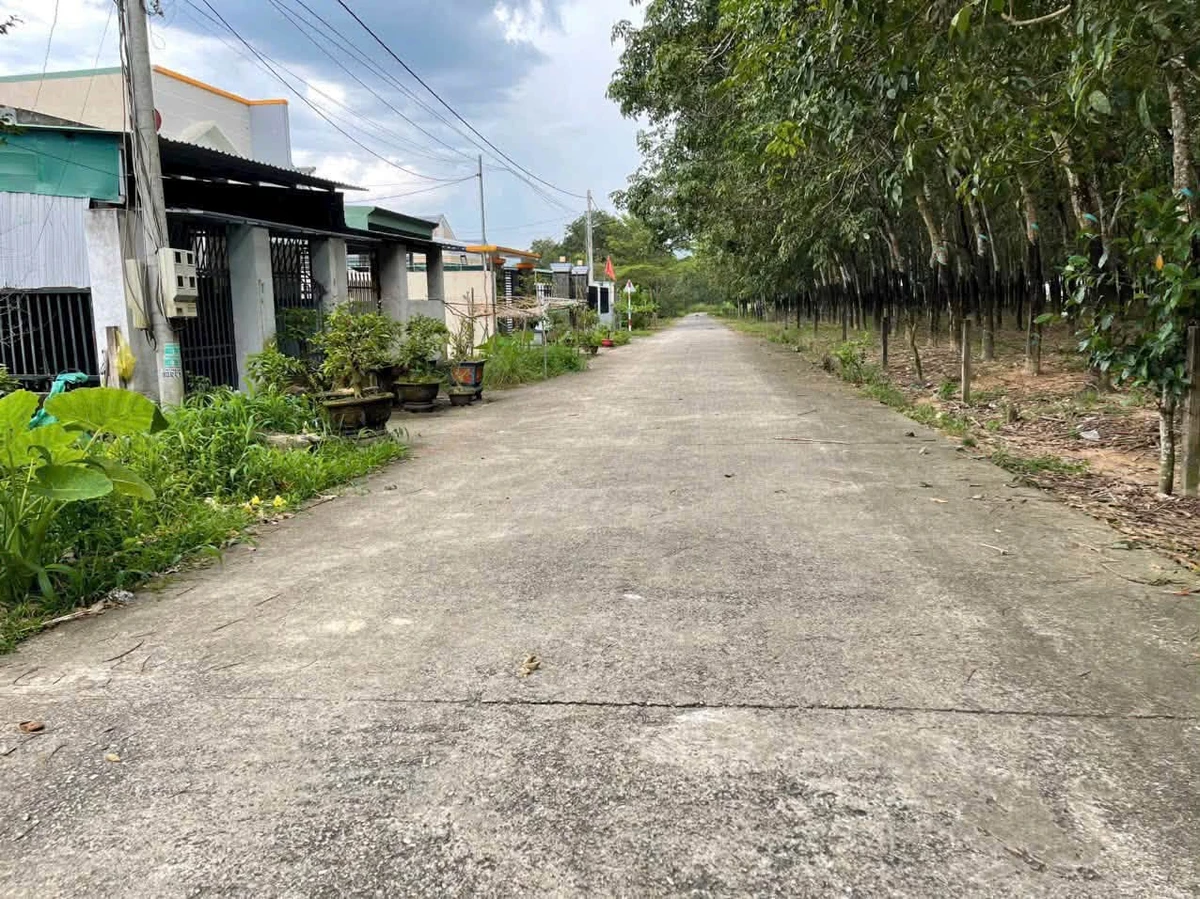 Bán đất 9000m² giá 9 tỷ tại Phường Tân Thành, Phú Mỹ - Ảnh thu nhỏ 2