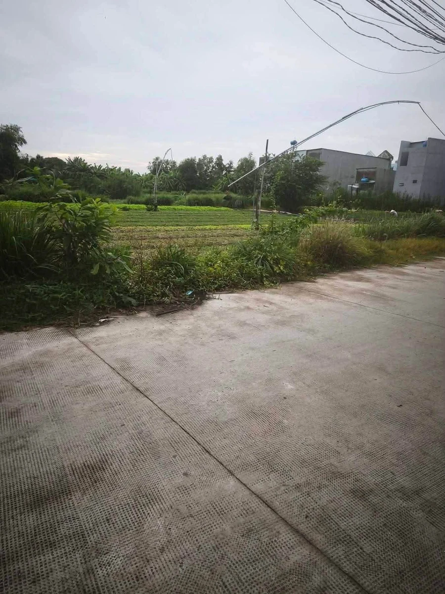 Bán lô đất thổ 3000m2 mặt tiền Lê Thị Ty, Tây Ninh - Ảnh thu nhỏ 3