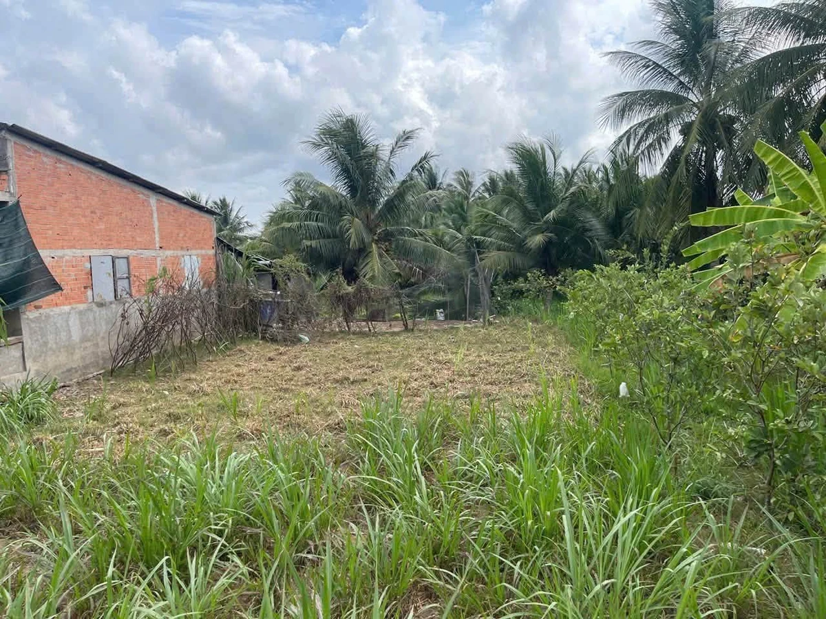 Bán đất Tân Mỹ 200m² thổ cư giá 290 triệu - Ảnh thu nhỏ 2
