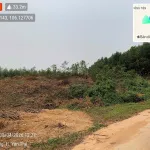 Chỉ 2tỷ500tr sở hữu 5011m2 trong đó 400m2 là thổ cư mua được ở đâu. Bán nhanh mới có giá đó-LH SĐT - Ảnh thu nhỏ 14