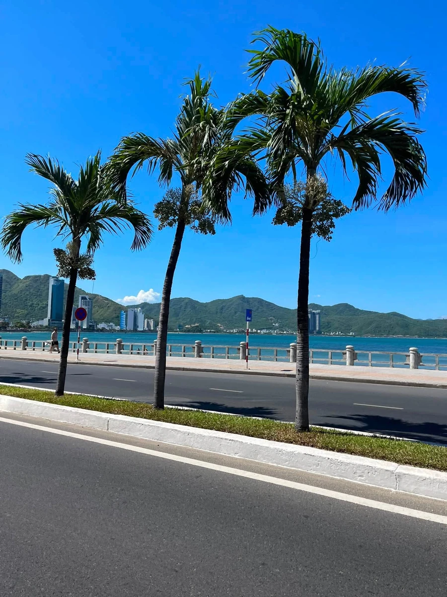 Bán nhà phố 59m² 2PN Nha Trang, gần biển, 4,25 tỷ - Ảnh thu nhỏ 3