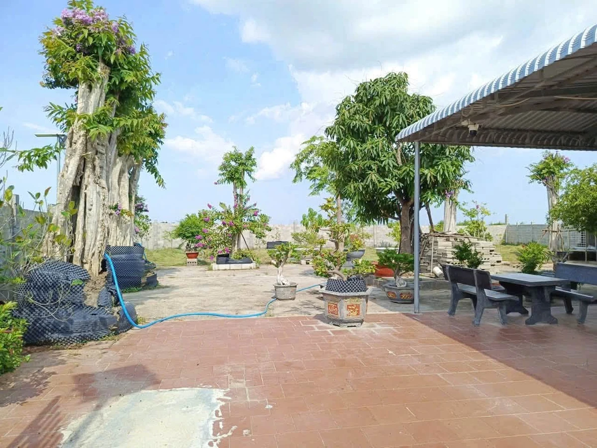 Bán nhà vườn 977m2 sổ riêng tại Hàm Liêm, Bình Thuận - Ảnh thu nhỏ 4