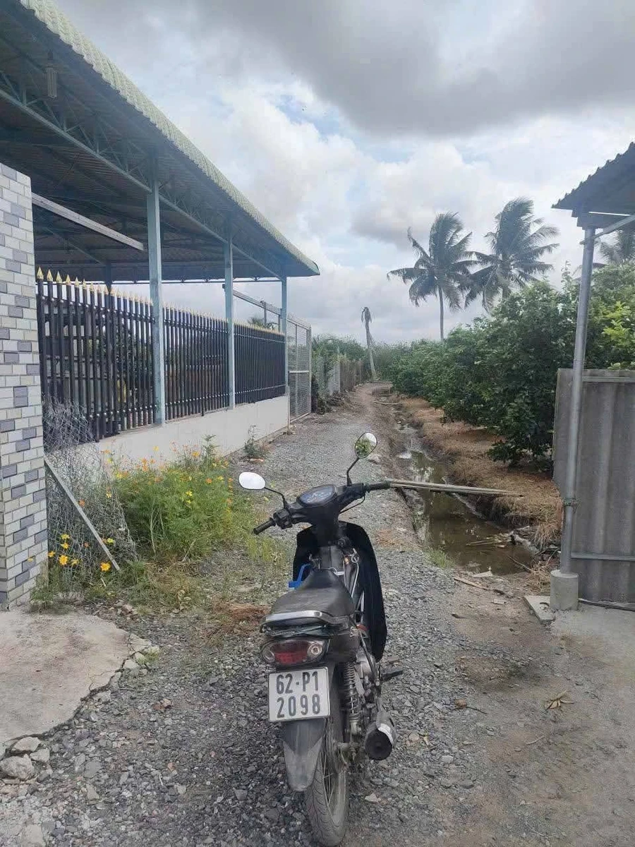 Bán nhà vườn 1097m2 đường ô tô, sổ hồng riêng tại Lương Hòa, Bến Lức, Long An - Ảnh thu nhỏ 2