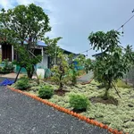Bán nhà vườn 1000m2 Hoà Phú Châu Thành Long An giá 1 tỷ 350 - Ảnh thu nhỏ 4
