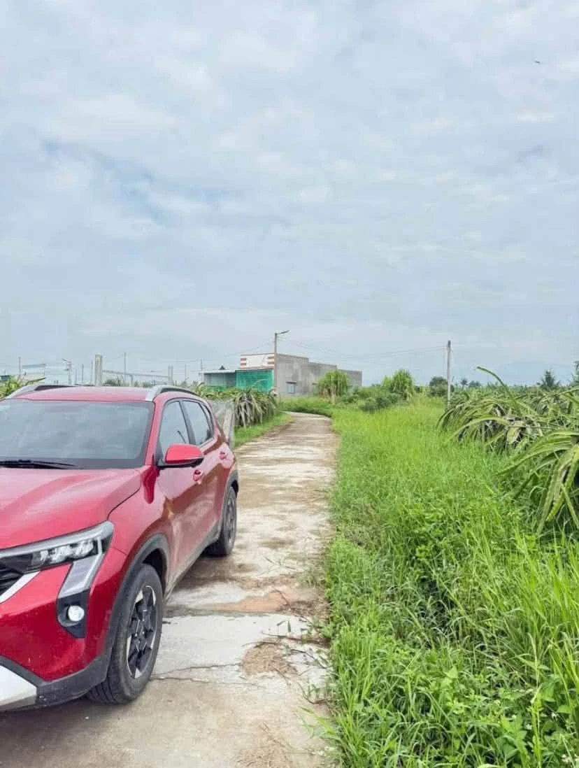 Bán đất mặt tiền 1 sào Hàm Liêm gần Phan Thiết - Ảnh 1