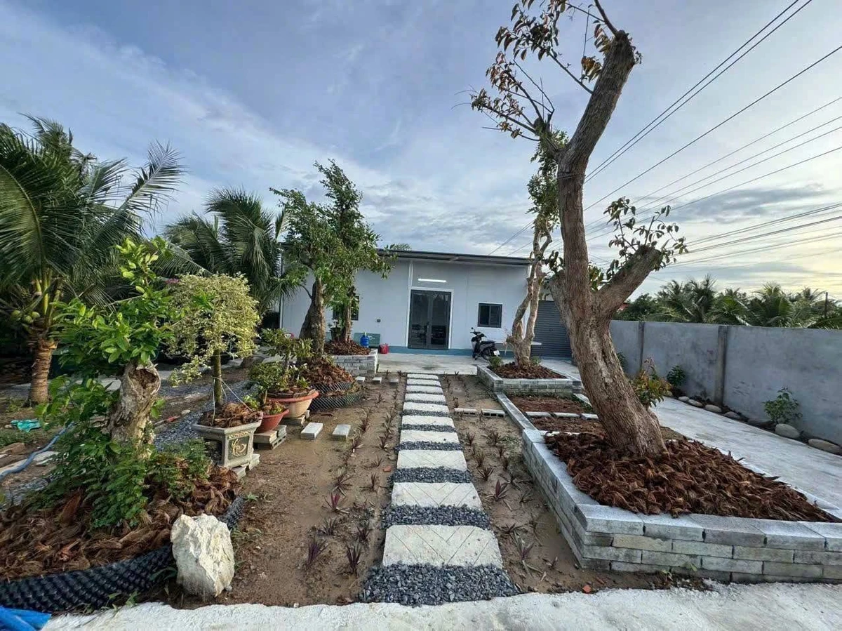 Bán vườn dừa mặt tiền lộ nhựa 8400m² Cần Giờ - Ảnh thu nhỏ 3