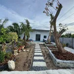Bán vườn dừa mặt tiền lộ nhựa 8400m² Cần Giờ - Ảnh thu nhỏ 3
