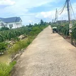 Bán đất nông nghiệp 968m2 view kênh gần đường Đan - Ảnh thu nhỏ 1