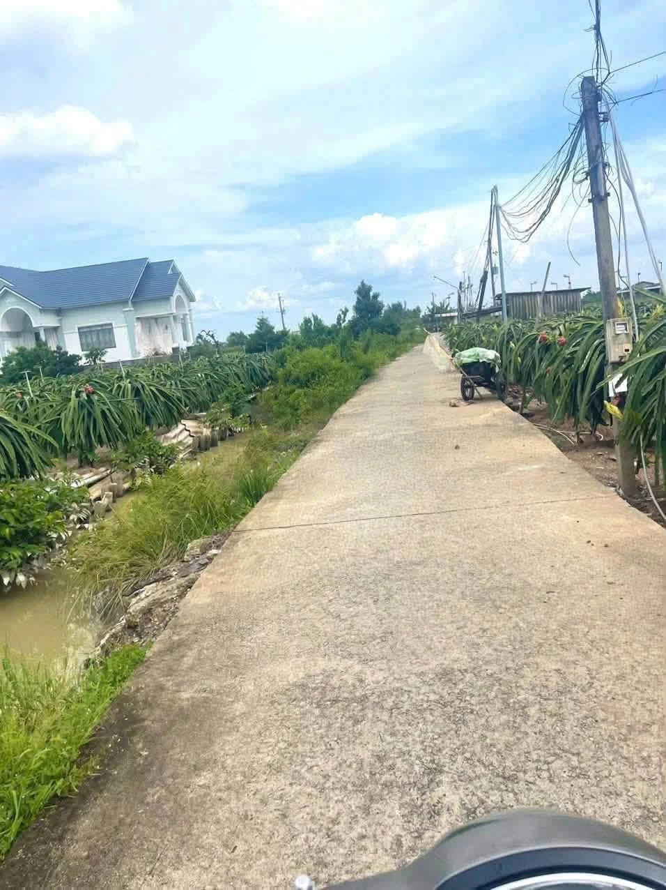 Bán đất nông nghiệp 968m2 view kênh gần đường Đan - Ảnh 1