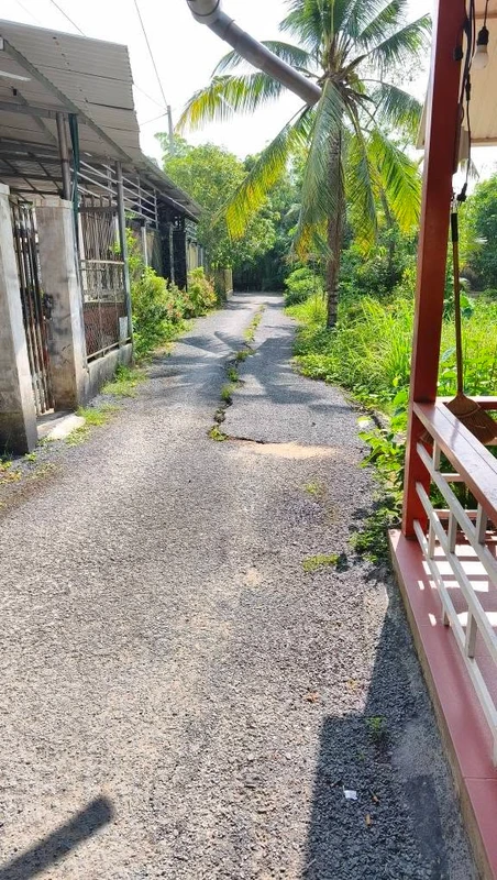 Bán đất 1.304m2 Hậu Giang tặng căn nhà