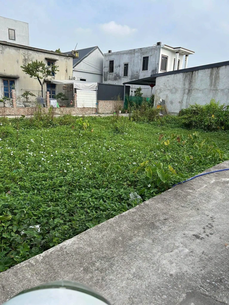 Bán đất xích thổ Hồng Thái 60m² giá 1 tỷ 150 - Ảnh thu nhỏ 3