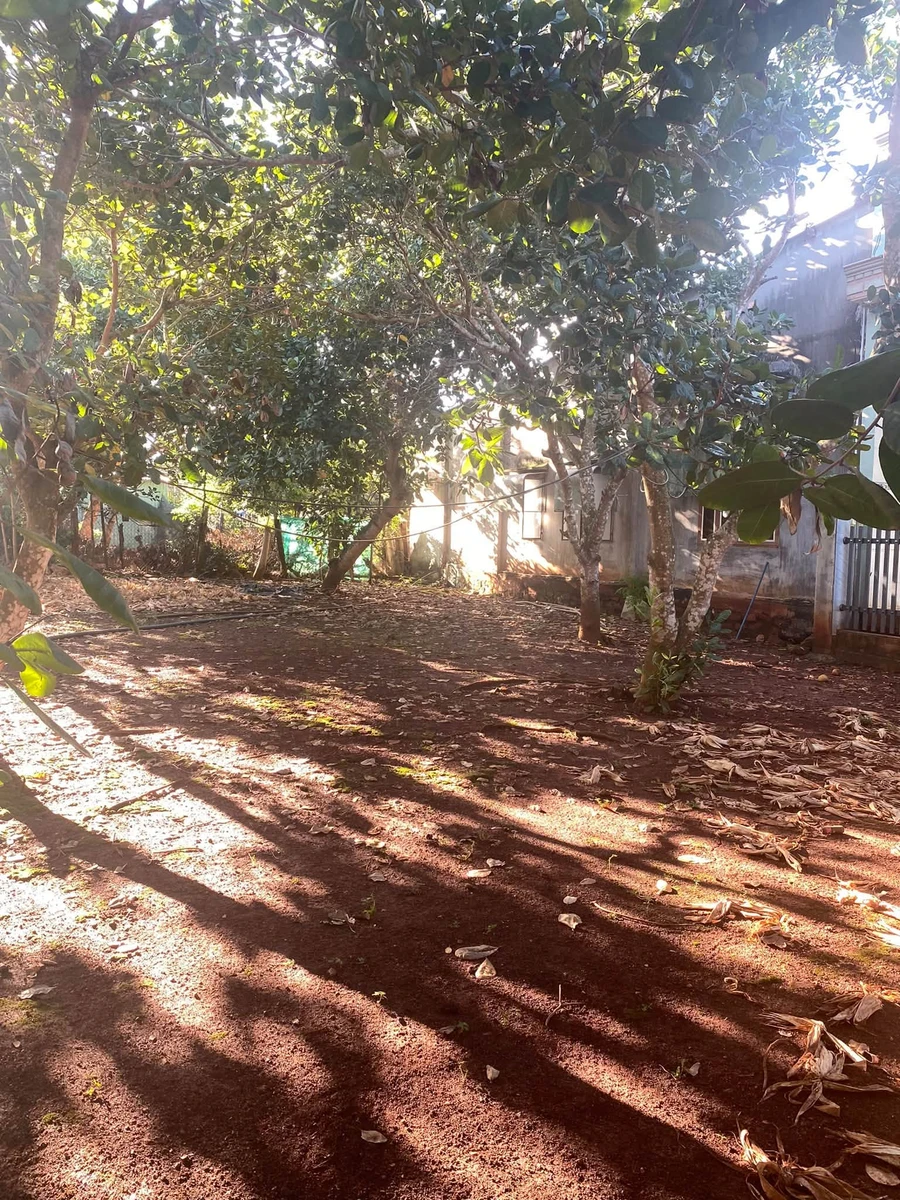 Bán đất 163 m² Xuyên Mộc, Bà Rịa - Vũng Tàu 450 triệu - Ảnh thu nhỏ 2