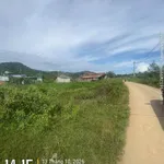 Bán đất 500m2 mặt đường Betong Quận 12 - Ảnh thu nhỏ 5