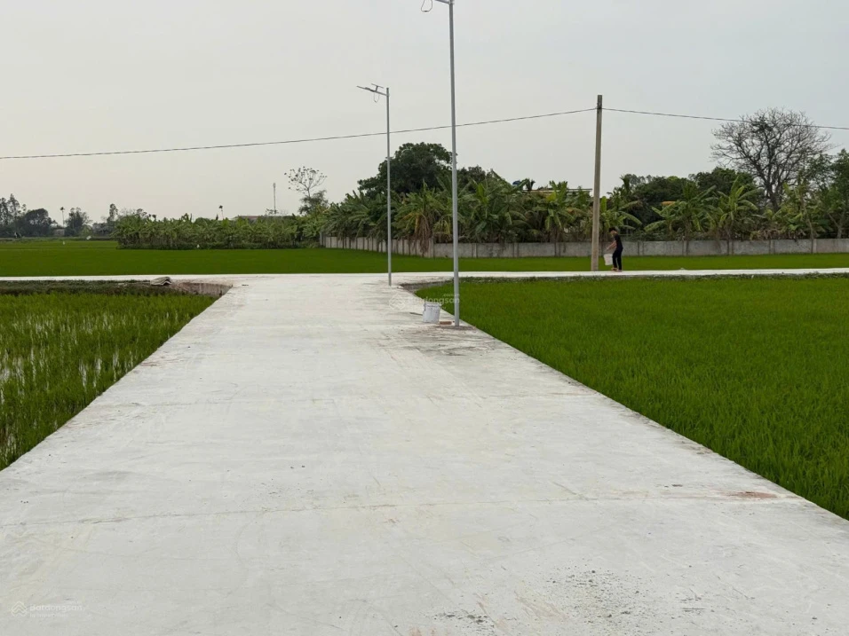 Bán gấp đất tại Xã Nam Thịnh, Huyện Tiền Hải, Thái Bình, 550 triệu, 120 m2 - Ảnh 1