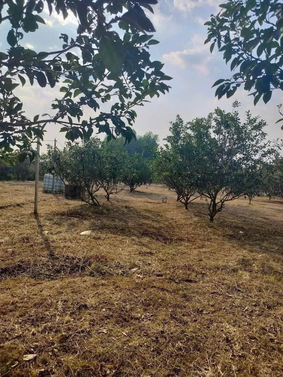 Bán nhà vườn 3700m² Tân Triều Đồng Nai - Ảnh thu nhỏ 3