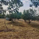Bán nhà vườn 3700m² Tân Triều Đồng Nai - Ảnh thu nhỏ 3