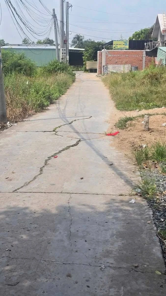 Bán đất 240m² thổ cư, 653.7m² lúa ở Long An - 2.6 tỷ - Ảnh thu nhỏ 2