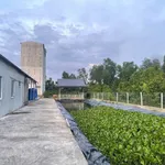 Chuyển nhượng nhà vườn mặt tiền Lình Huỳnh Rạch Giá 2730m², 4 tỷ 450 - Ảnh thu nhỏ 4