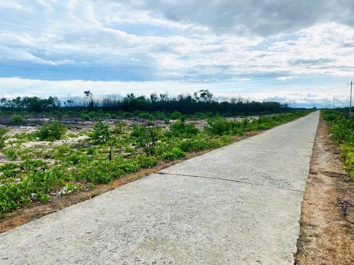 Bán 5,6ha đất rừng mặt tiền đường bê tông gần biển, giá 330 triệu/ha, Huế - Ảnh 1
