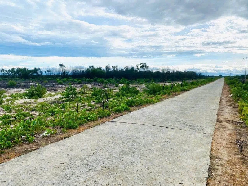 Bán 5,6ha đất rừng mặt tiền đường bê tông gần biển, giá 330 triệu/ha, Huế