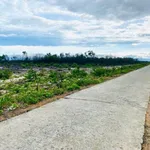 Bán 5,6ha đất rừng mặt tiền đường bê tông gần biển, giá 330 triệu/ha, Huế - Ảnh thu nhỏ 1