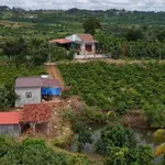 Bán đất 150 m² xã Đắk Rla, Đắk Nông - Ảnh thu nhỏ 2