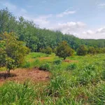 Bán đất 200m² xã Phú Nghĩa, TP Đồng Nai, 3 tỷ - Ảnh thu nhỏ 3
