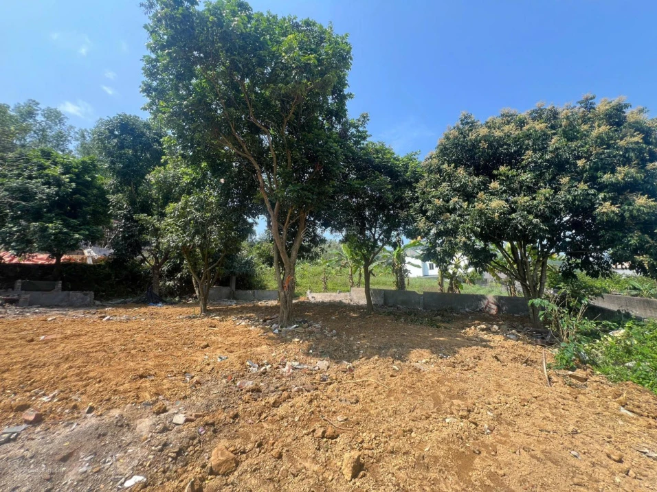 Cần tiền bán gấp 420m2 full đất ở tại Lâm Sơn, Lương Sơn, đất hai mặt đường, cách QL6 100m - Ảnh thu nhỏ 3